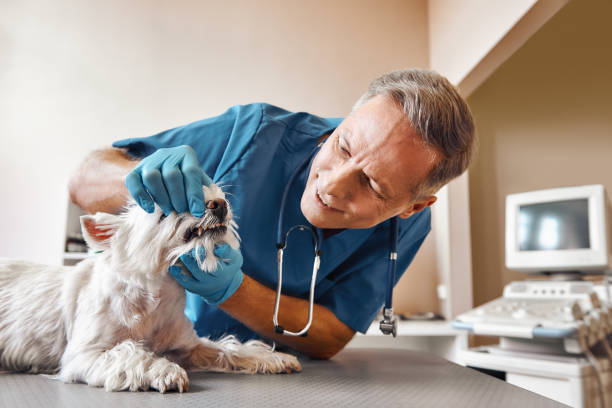 Best Emergency Broken Tooth Repair in La Feria, TX